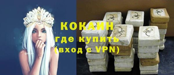 прущие грибы Баксан