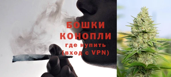 прущие грибы Баксан
