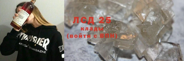 прущие грибы Баксан