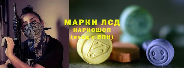 прущие грибы Баксан