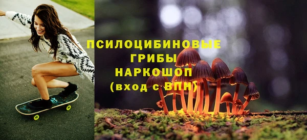 прущие грибы Баксан